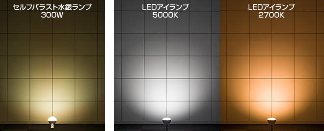 レディオック LEDアイランプ ＆適合ホルダ （お得なセット商品） 信頼