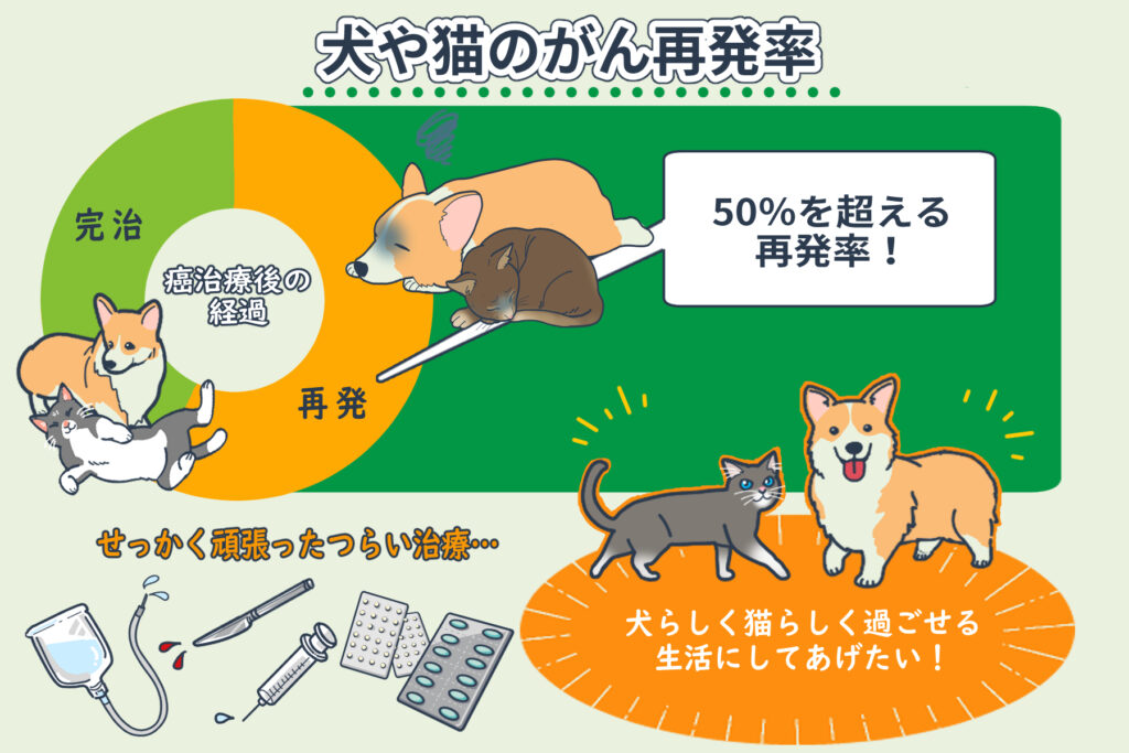なぜ犬や猫のがんは再発するの？－犬や猫の癌の再発を防ぐ方法