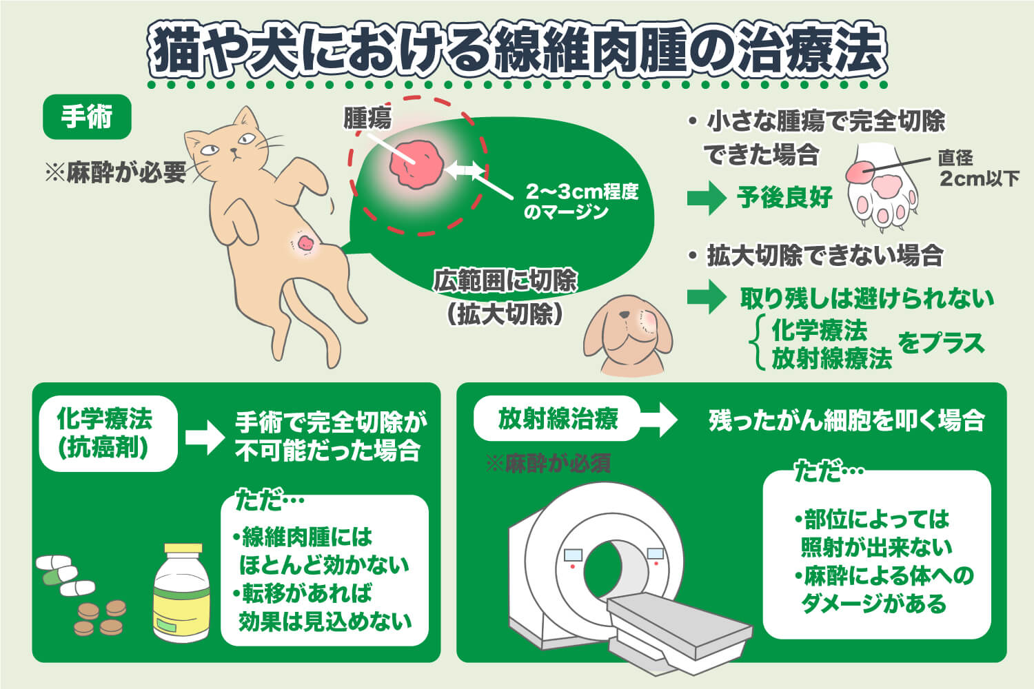 猫・犬の線維肉腫 ― 悪性腫瘍、検査、手術、治療法、改善・完治の