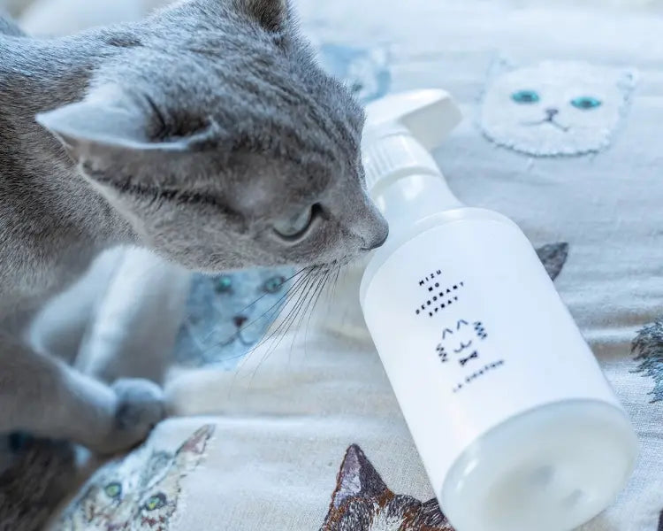 水の除菌消臭スプレー詰め替えボトル900ml 3本セット – LA CHATON