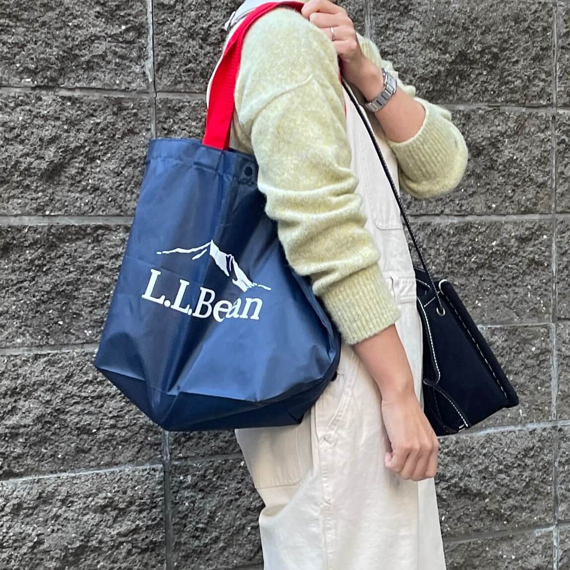 LEE新年特大号付録「L.L.Bean アウトドアにも使えるBIGショルダー