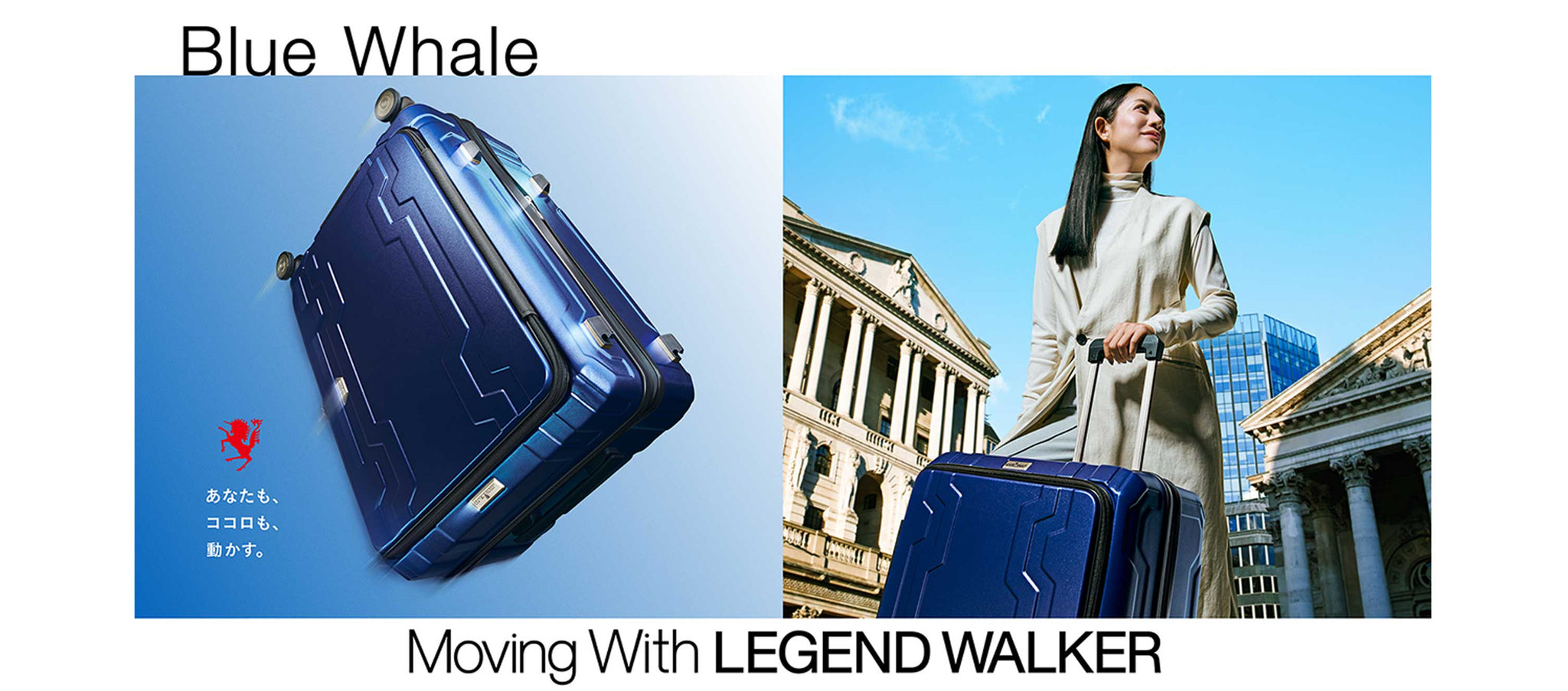 拡張機能付きフロントオープンスーツケース「5525 BLUE WHALE