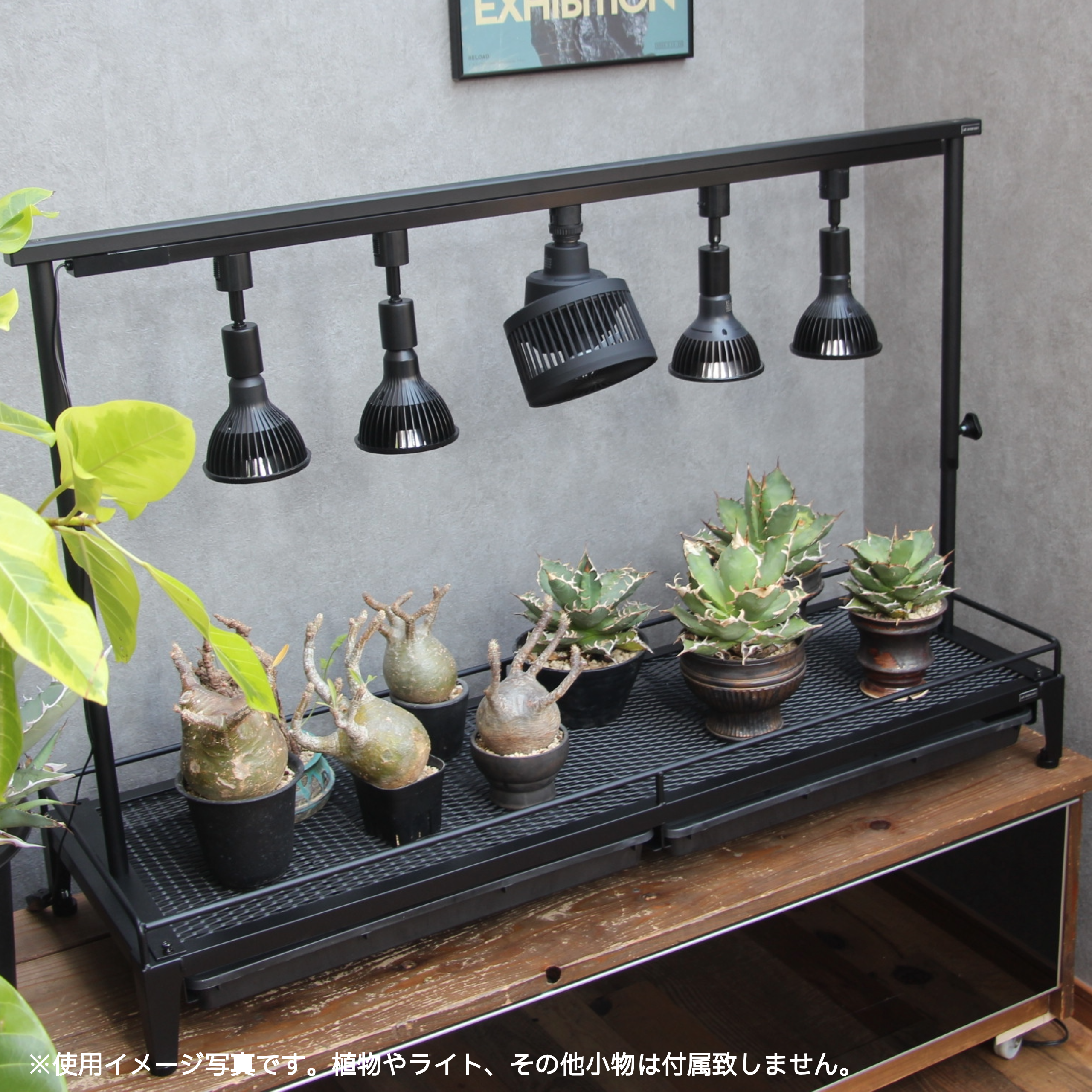 水受けトレー付き1段植物棚(W1250×D400×H130mm)スターターセット