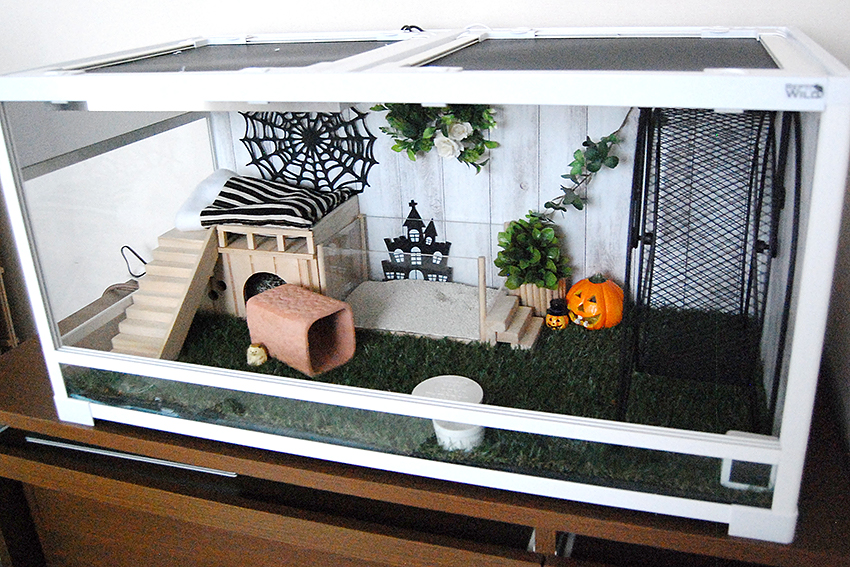 ケージレイアウト変更 : ハリネズミちくちく日記