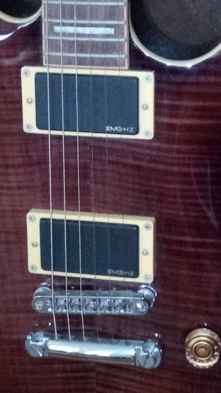 cort MX600 : 僕のブログ