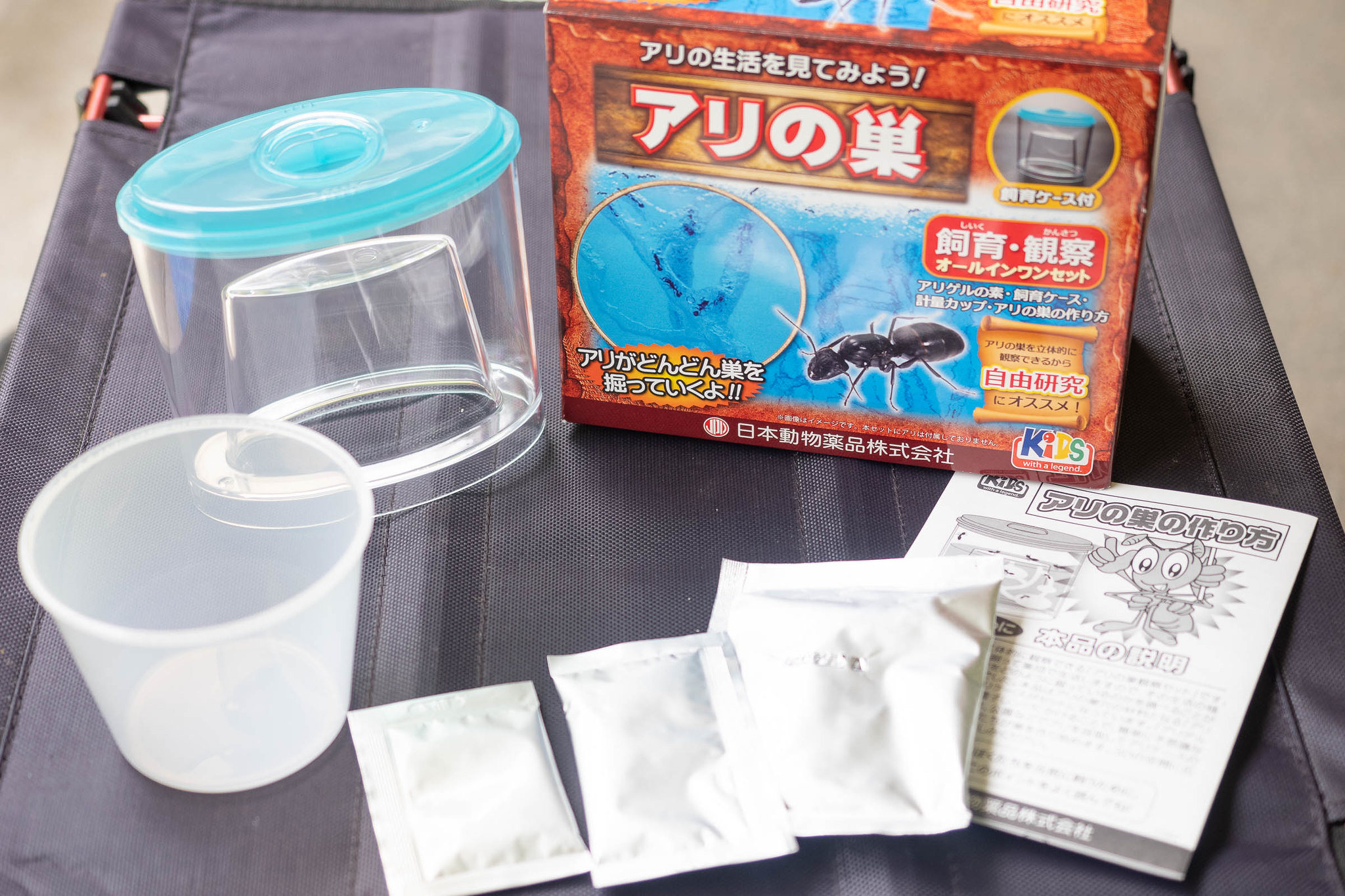 簡単】夏休みの自由研究にも！アリの巣 飼育観察セットが毎日楽しいぞ