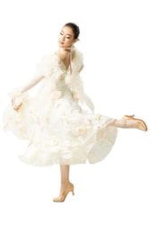 タカダンス スタンダードドレス 3S-00183 ｜社交ダンス スタンダード