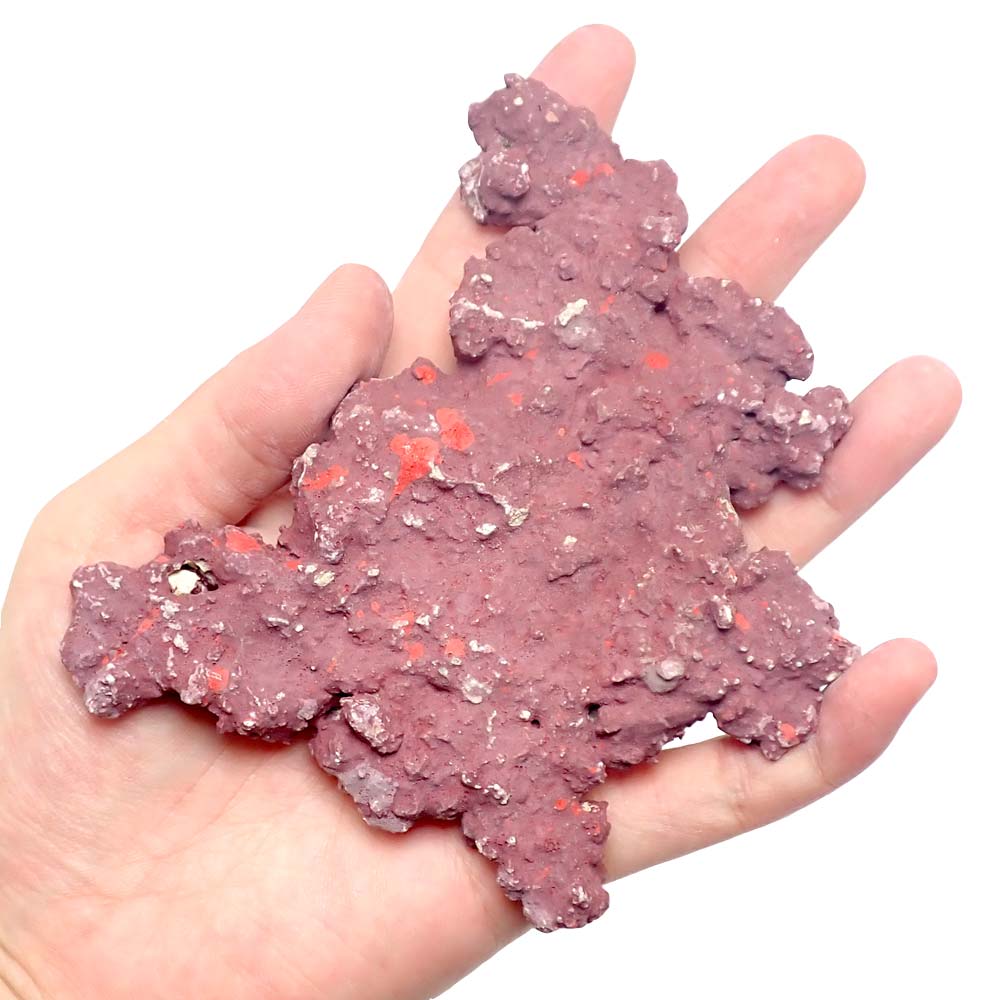 JSコーラルロック] 平ブロック Sサイズ 5枚＋1枚セット | 人工ライブ