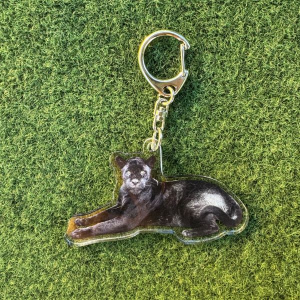 天王寺動物園オリジナル】実写アクリルキーホルダー ジャガー | 天王寺