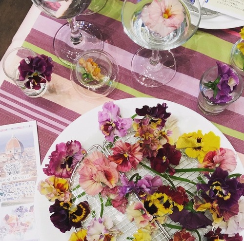 パンジー ・ムーランルージュ 『アプリコット』 食べられる