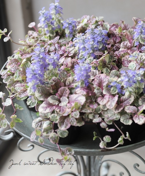 13_009000000039.jpg?1743250076