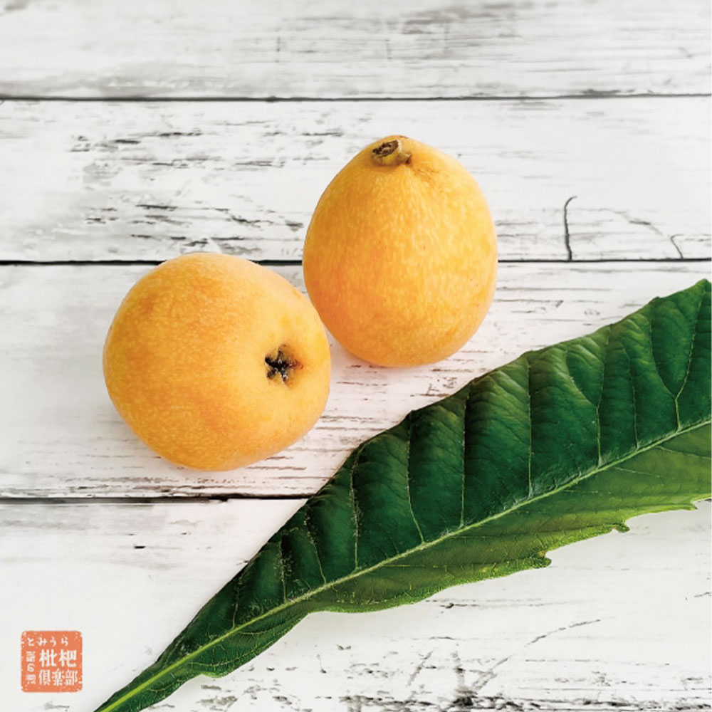 枇杷倶楽部】極びわゼリー・房州産びわゼリー 各3個 ギフトセット