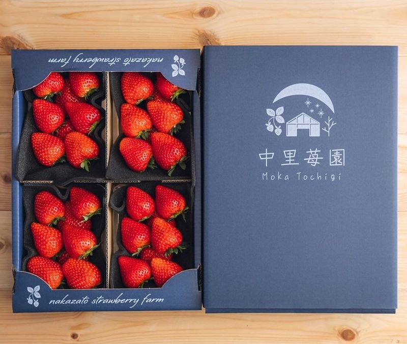中里苺園 ギフトBOX （大）とちあいか | とちぎの食から探す,いちご