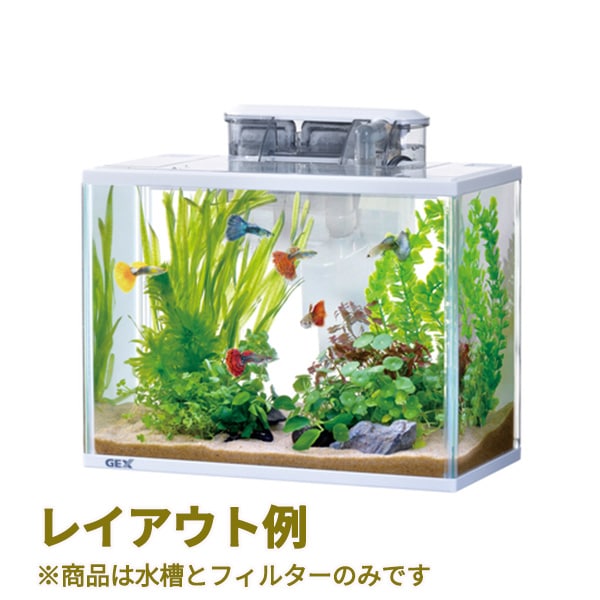 スリムアクア ホワイトセット S GEX(ジェックス) アクアリウム 水槽