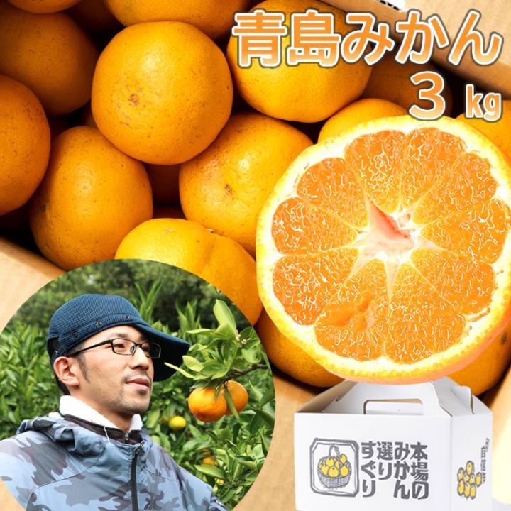 海瀬みかん園 l 【公式】 うまちょく便 | 静岡・山梨名物・特産品を