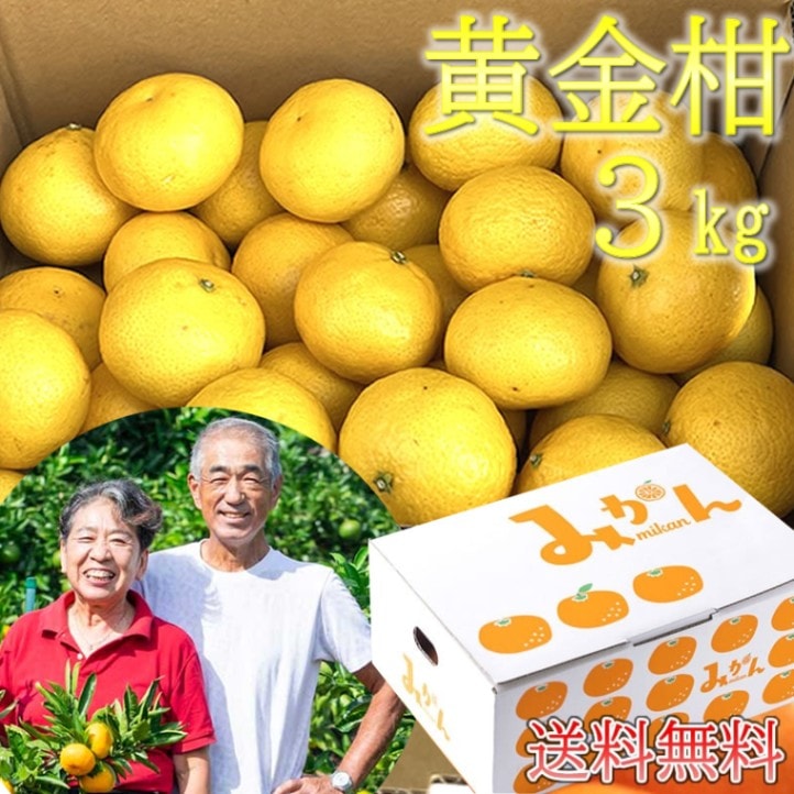 大川みかん園 l 【公式】 うまちょく便 | 静岡・山梨名物・特産品を