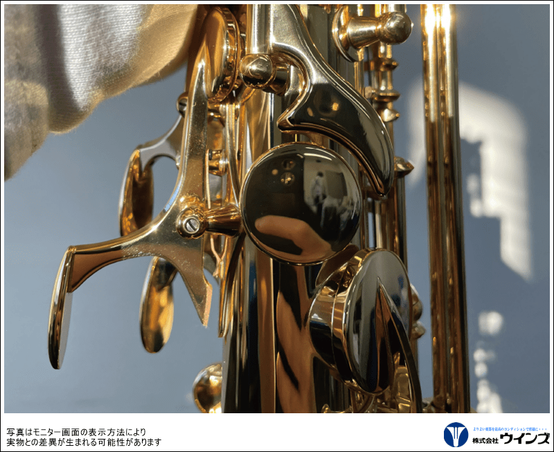 ヤナギサワ アルトサックス A-WO10 | 管楽器【新品】 | WINDS-Kawagoe