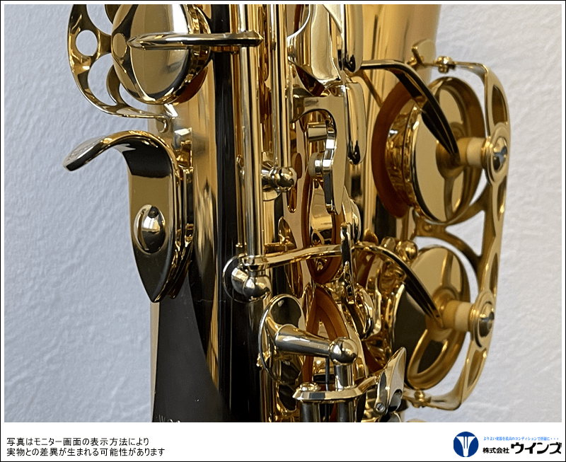 ヤナギサワ アルトサックス A-WO2 | 管楽器【新品】 | WINDS-Kawagoe