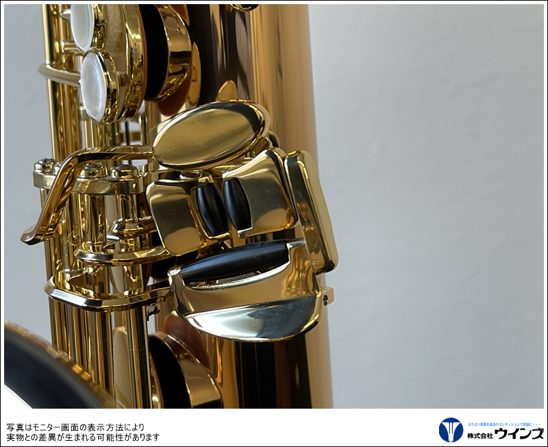 ヤナギサワ テナーサックス T-WO2 | 管楽器【新品】 | WINDS-Kawagoe