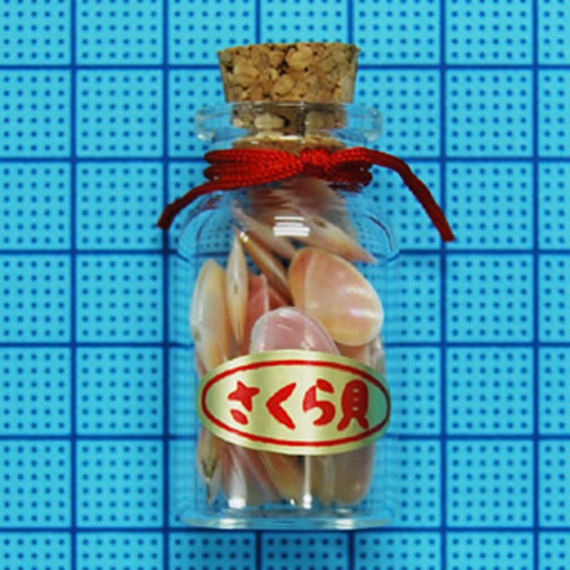 さくら貝(瓶詰) | 貝殻,貝殻雑貨 | やどかり屋