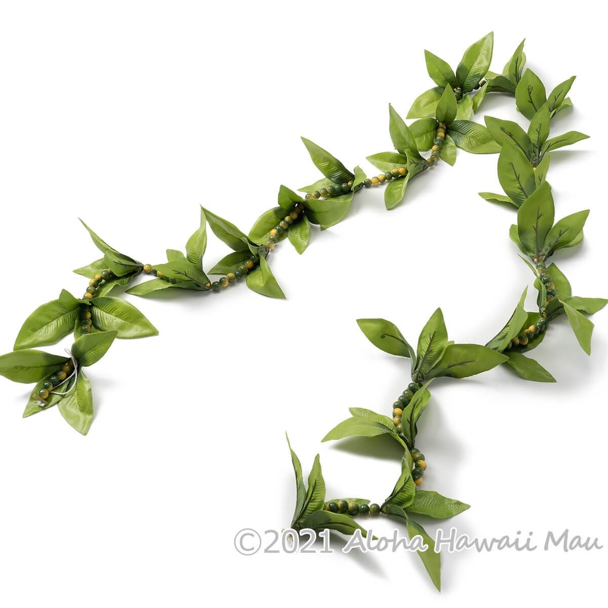 フラダンス レイ モキハナマイレ オープンレイ グリーン 緑