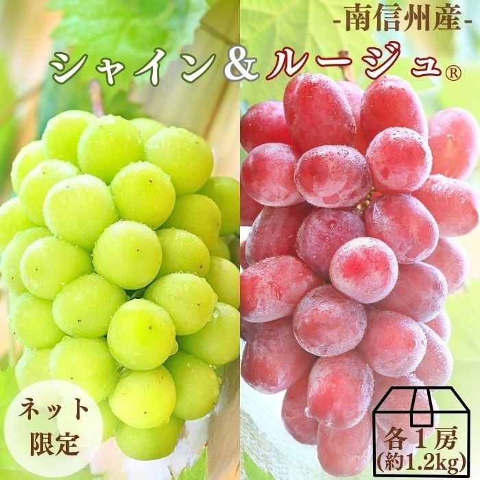 S024 ぶどう シャインマスカット＆クイーンルージュMIX 約1.2kg(2房