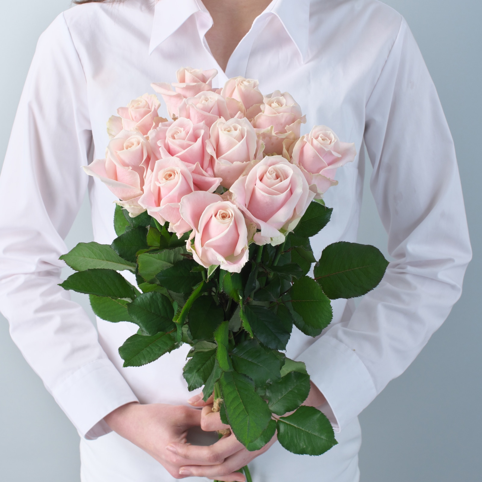ペールピンク_スウィートアヴァランチェ＋ 12本束｜バラの花専門通販
