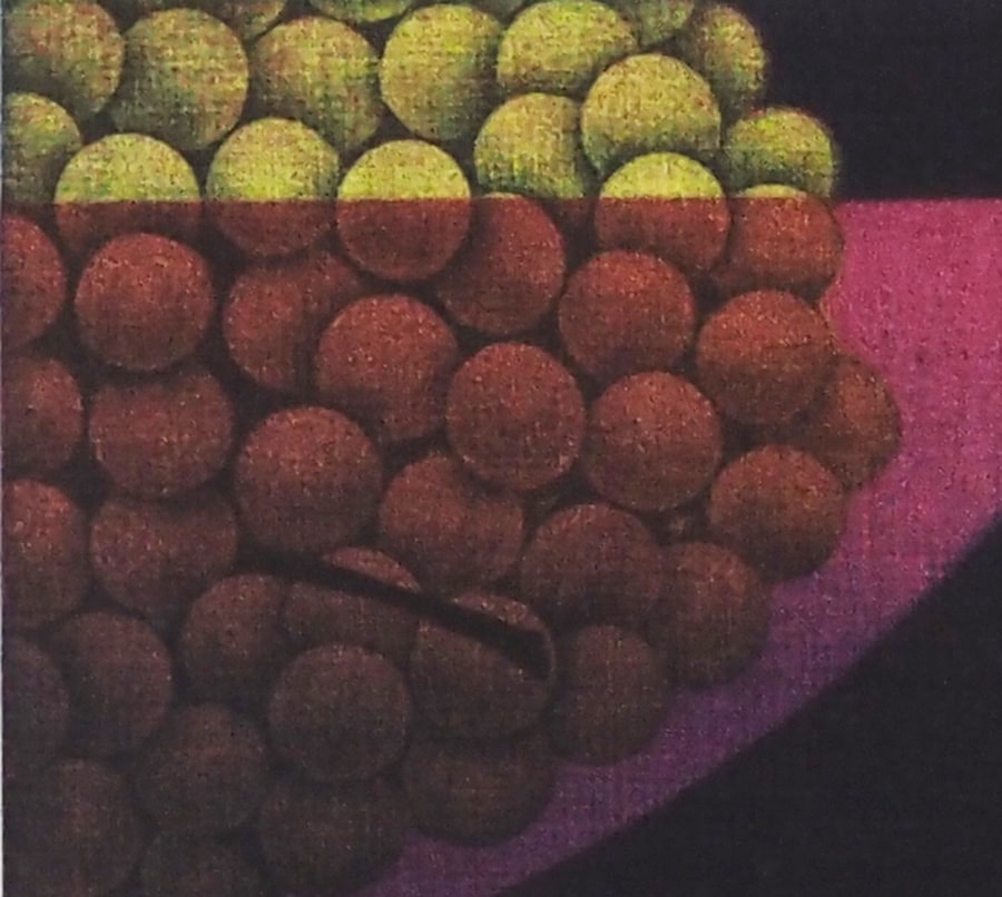 浜口 陽三 「ぶどう」 | | アトリエ・ブランカ