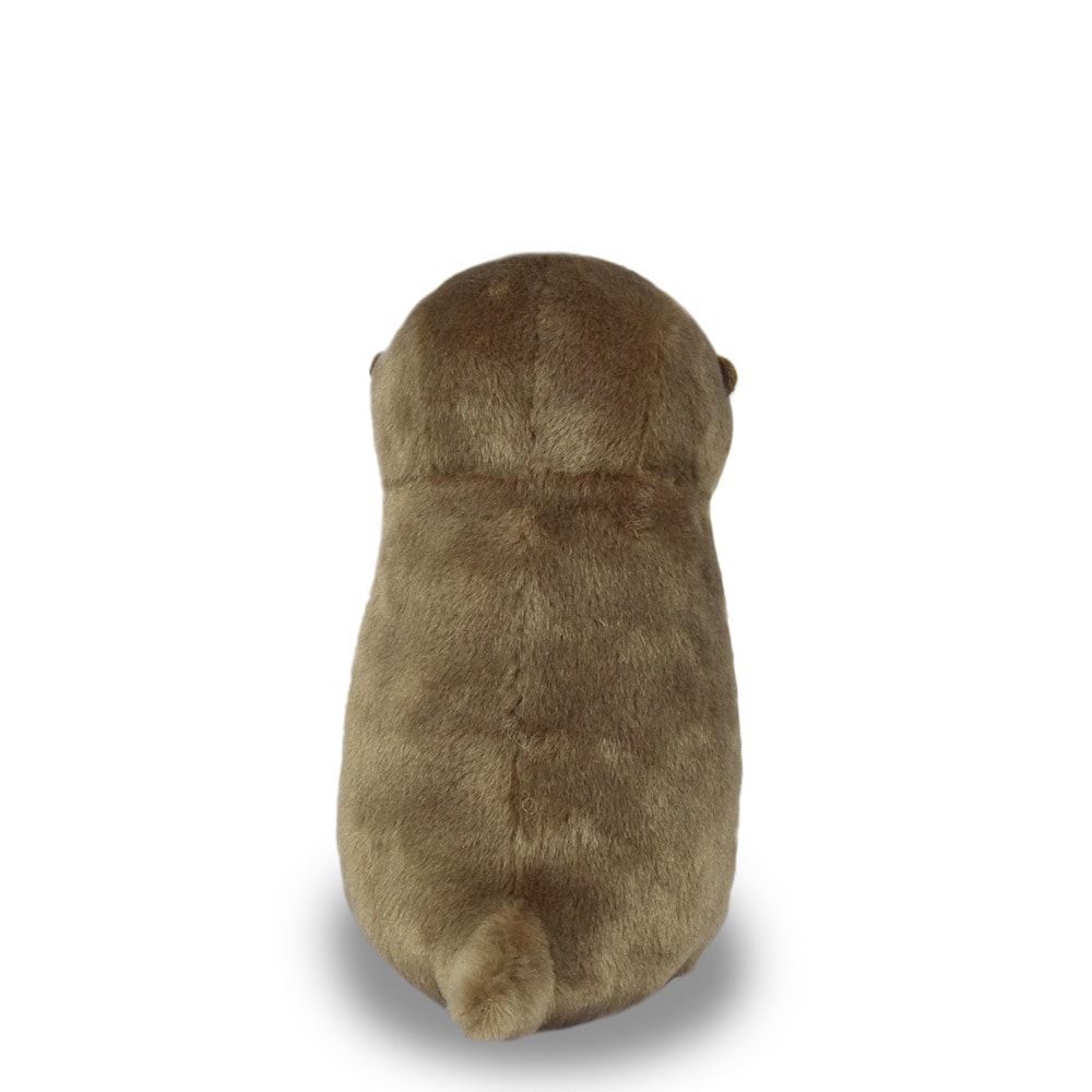 カワウソうそやんST こげチャン/Kawauso Usoyan ST Koge-chan：703502