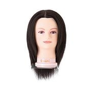 アップ用 人毛ウィッグ UP140 ハチ約51cm カットウィッグの通販｜美セラ