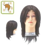 カットウィッグ R-005 メンズ 人毛 国家試験練習用 ハチ約52cmの通販