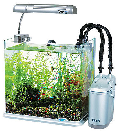 テトラ RG-30LX（水槽、ライト、外部フィルターセット）