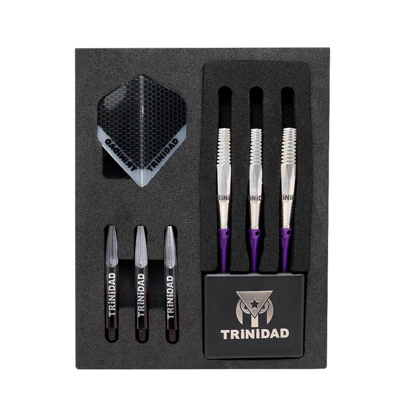 ダーツ TRINIDAD SALDIVAR・ソフト・ハードのセット 【公式通販】