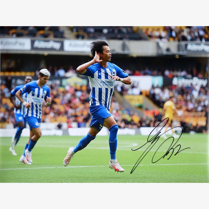 三笘薫 直筆サイン入りブライトン23/24フォト (セレブレーション