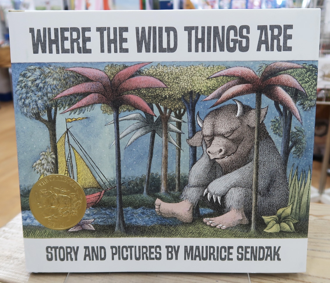 Where the Wild Things Are ～かいじゅうたちのいるところ