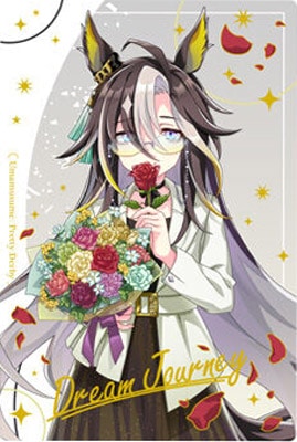 WSR2-12 ドリームジャーニー WSR ウマ娘 プリティーダービー ツイン