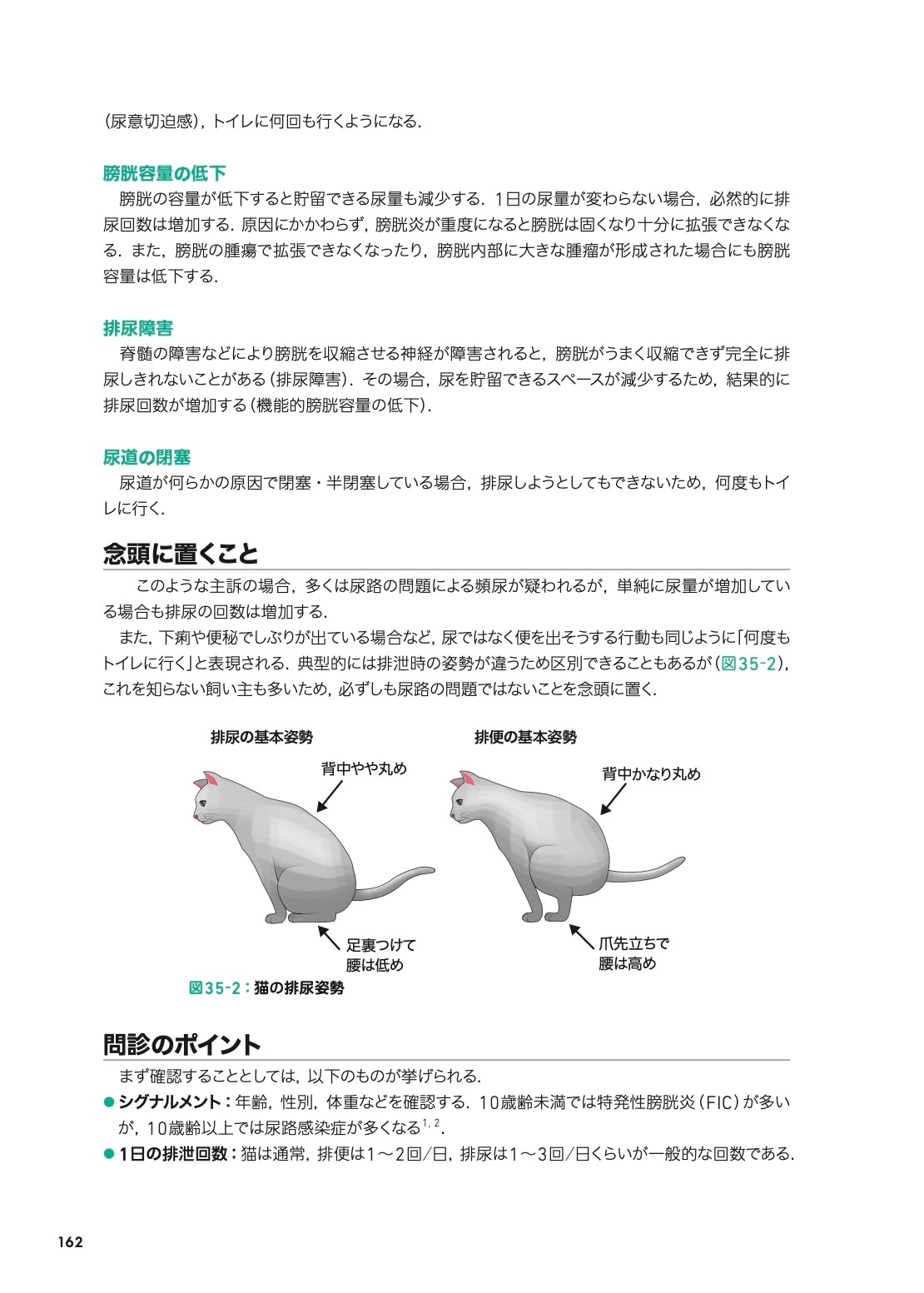 こう考える！ 猫の主訴100から紐解く診療ハンドブック | 臨床獣医学