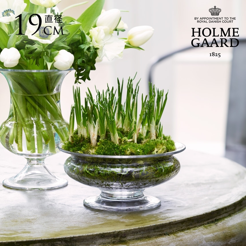 ガラス花瓶 水耕栽培 ホルムガード Old English フラワーボウル 直径