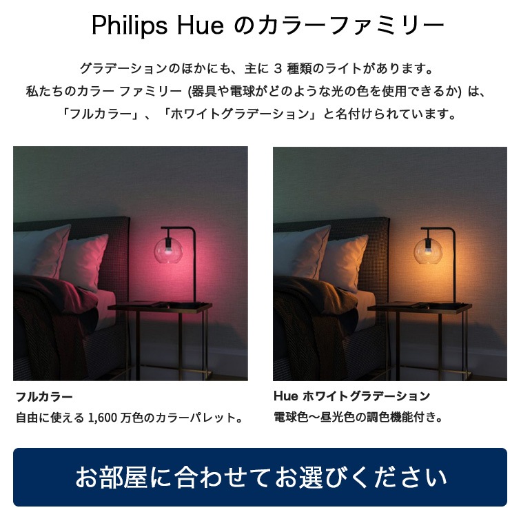 フィリップス Hue グラデーションライトリボン ベースキット2m