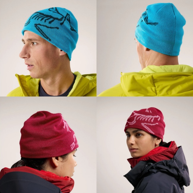 アークテリクス ARC'TERYX バード ヘッド トーク Bird Head Toque