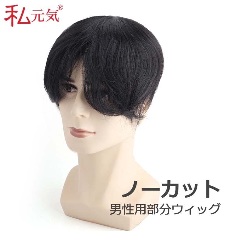 公式】私元気ウィッグ専門店 | 総手植え 人毛 部分ウィッグ メンズ