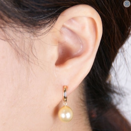 10_000000000316.jpg?1689816236