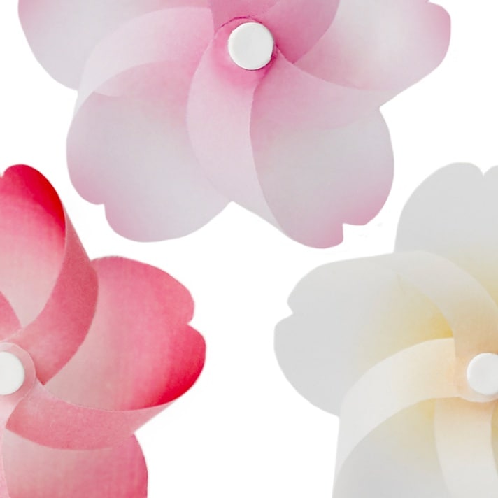 d｜カゼグルマ 桜【3個入り】 | KONCENT Web shop｜アッシュコンセプト