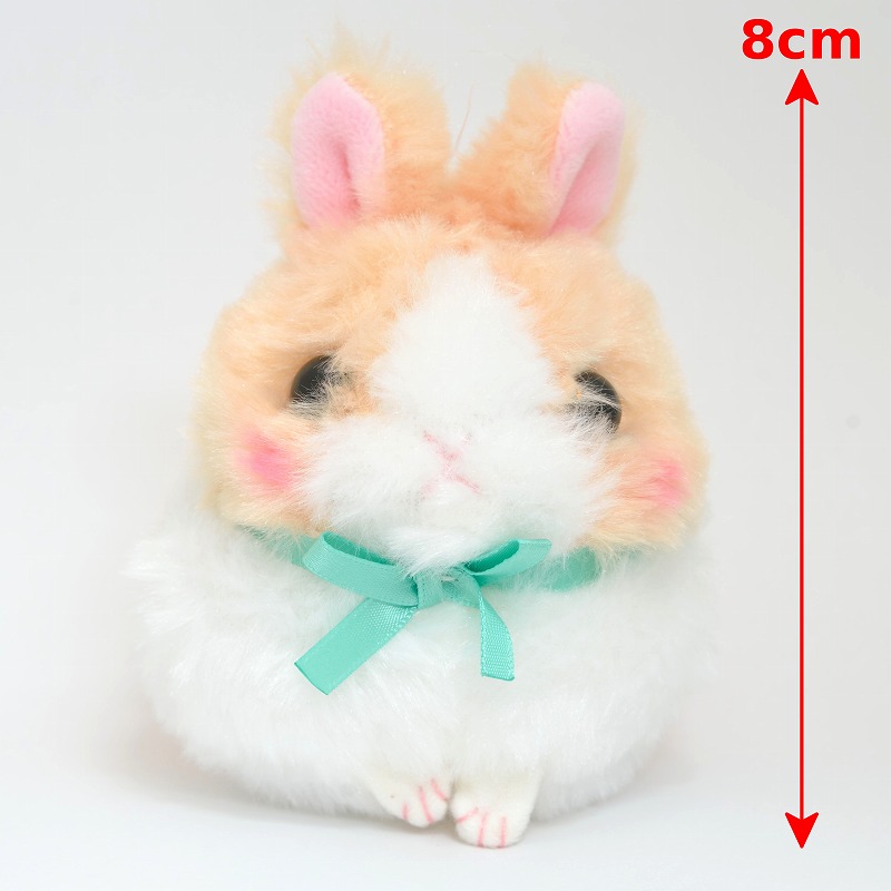 うさだまちゃん LMC カフェもふ | うさぎ専門店ラッキーハート- うさぎ