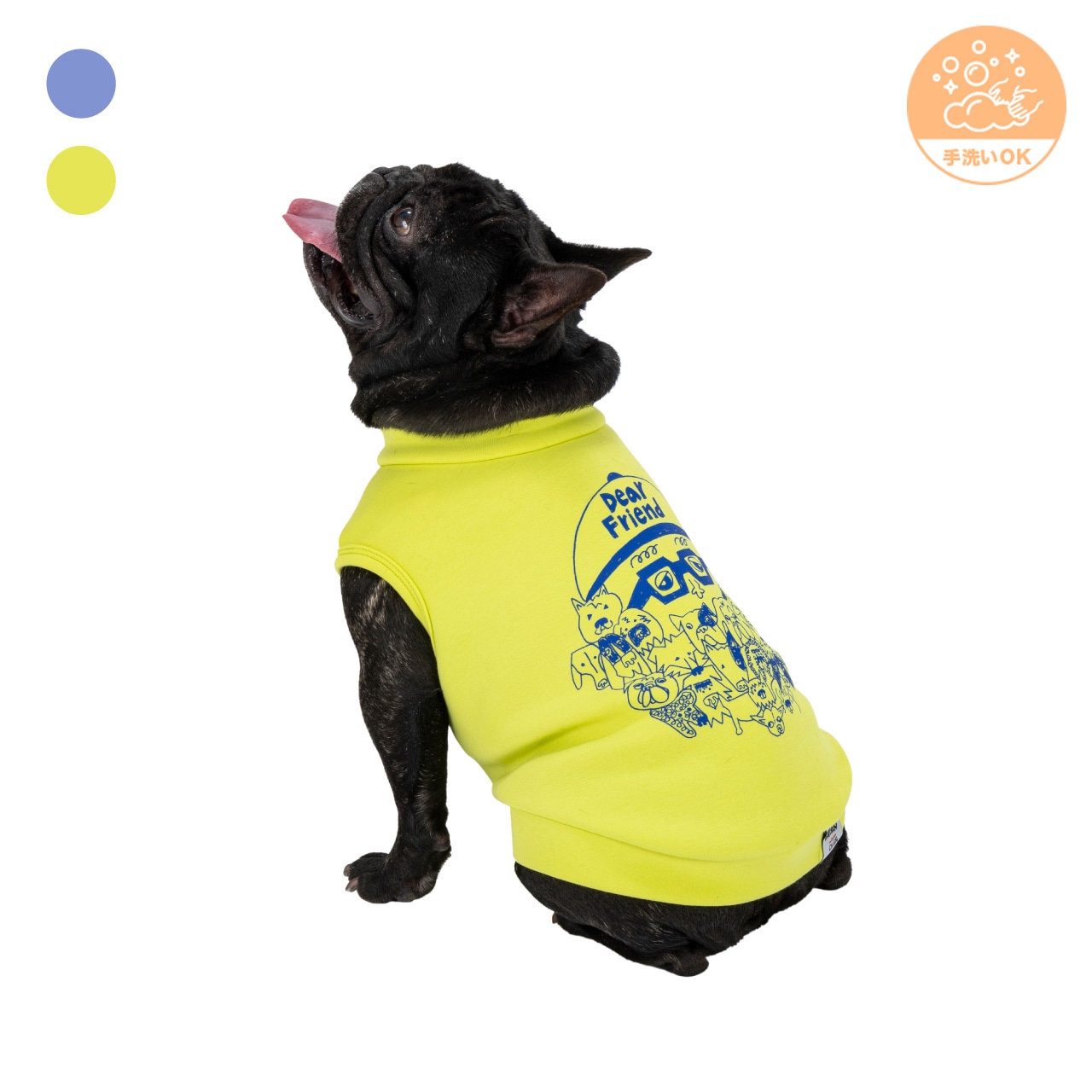 Chi-bee CARDBORD KNIT | WEAR | 犬服 MANDARINE BROTHERS マンダリン