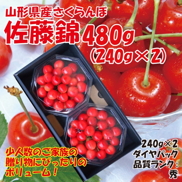 送料無料】山形県産さくらんぼ佐藤錦480g（240g×2）(秀品L玉以上