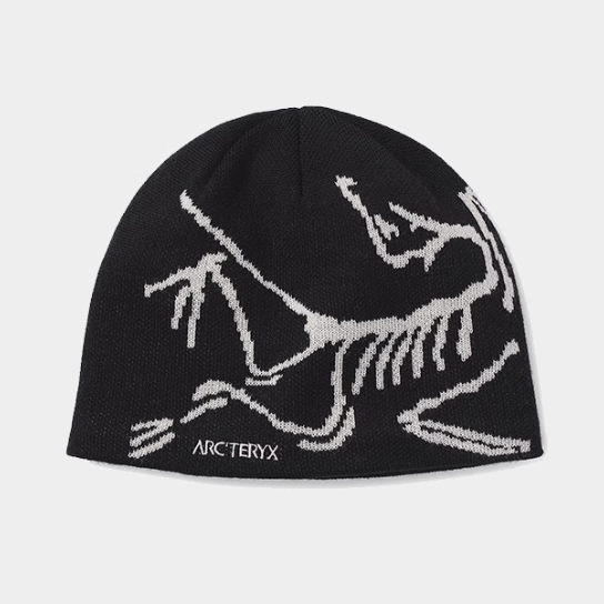 ARC'TERYX ニットキャップ ビーニー Bird Head Toque｜MIRISE(ミライズ
