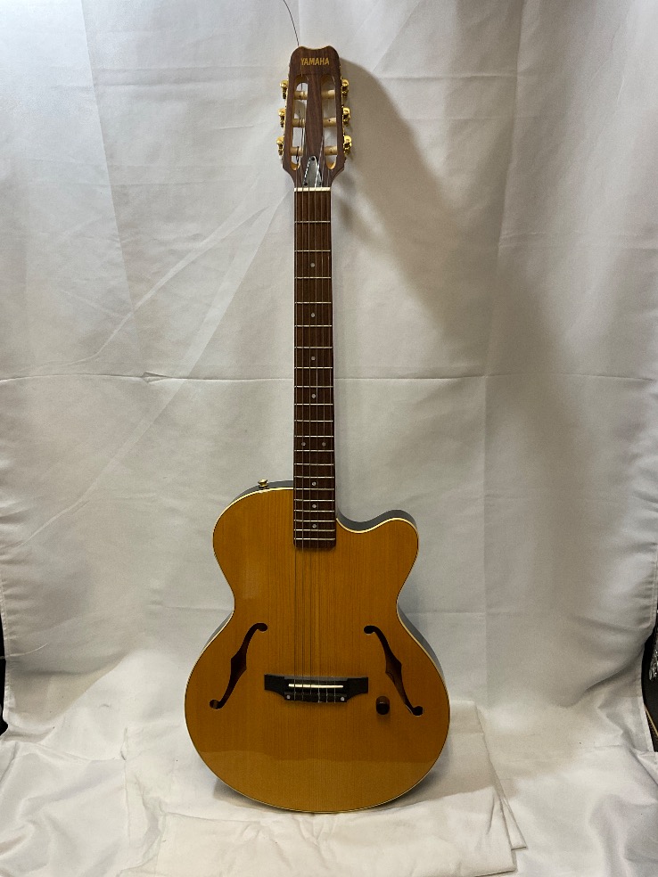 u55263 中古 ヤマハ AEX500N 電池BOX修理済 | 中古楽器,エレガット