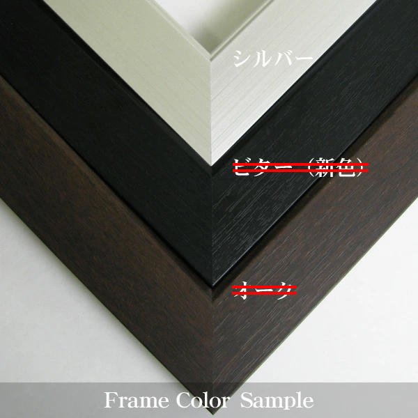 アウトレット】 前開きタイプ ユニフォーム額縁/シルバー Lサイズ