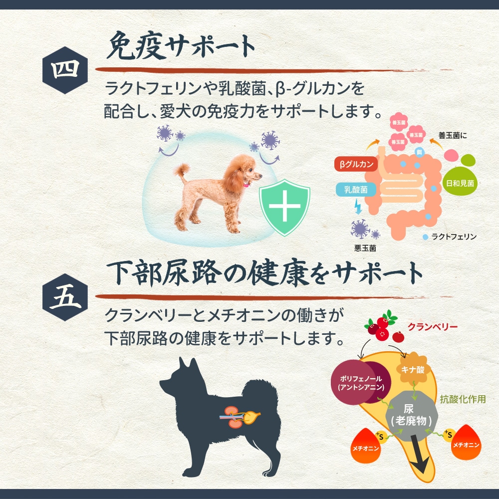 ドッグフード kiduki ニュートライプ DOG クランチ オーブンベークド ラムwithグリーン